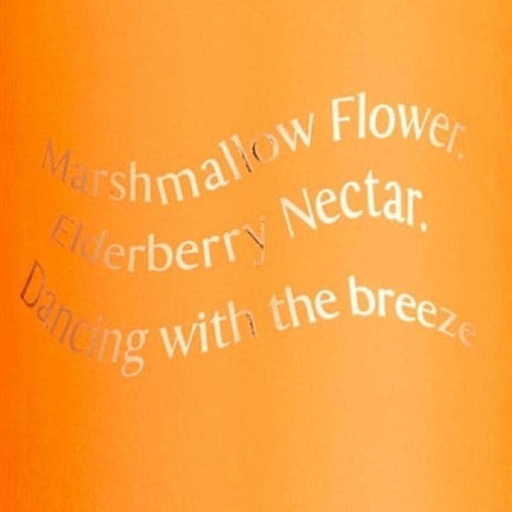 NWT Victoria's Secret Petal High Fragrance Mist Limited Edition Vintage Stock - Picture 9 of 9